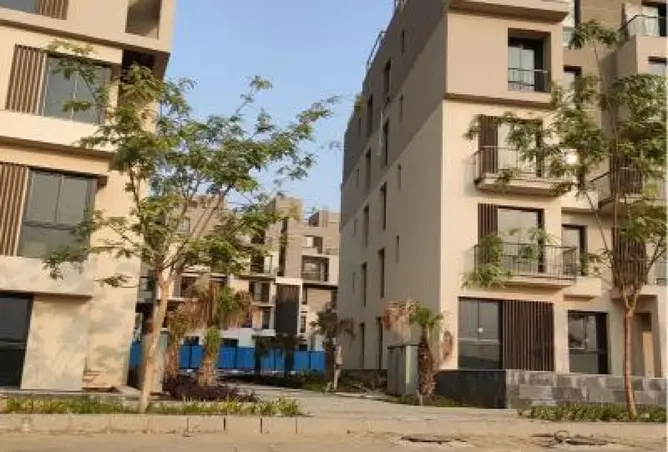 113815290 - صورة العقار 2