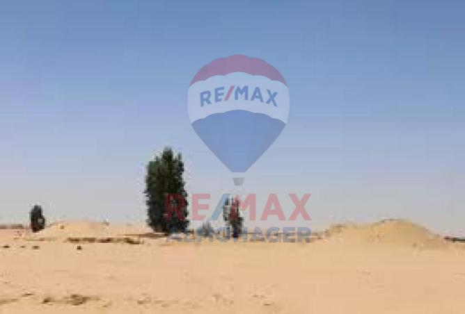 8572597 - صورة العقار 3