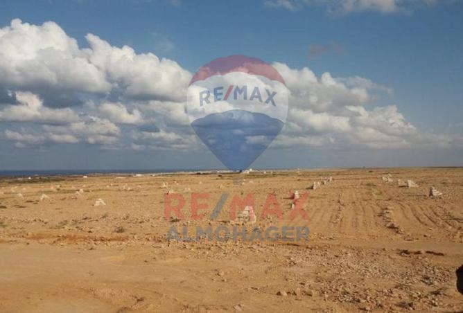 8572597 - صورة العقار 2