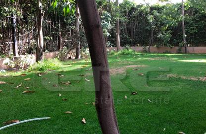 Villa - 5 - 4 for sale in Katameya Hills - 5th Settlement Compounds - The 5th Settlement - New Cairo City - Cairo