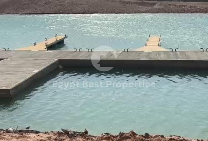 99118130 - صورة العقار 3