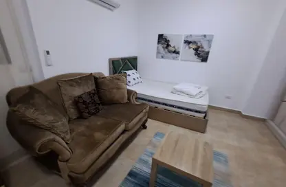 Apartment - Studio - 1 Bathroom for rent in American University Housing District - 5th Settlement Compounds - The 5th Settlement - New Cairo City - Cairo