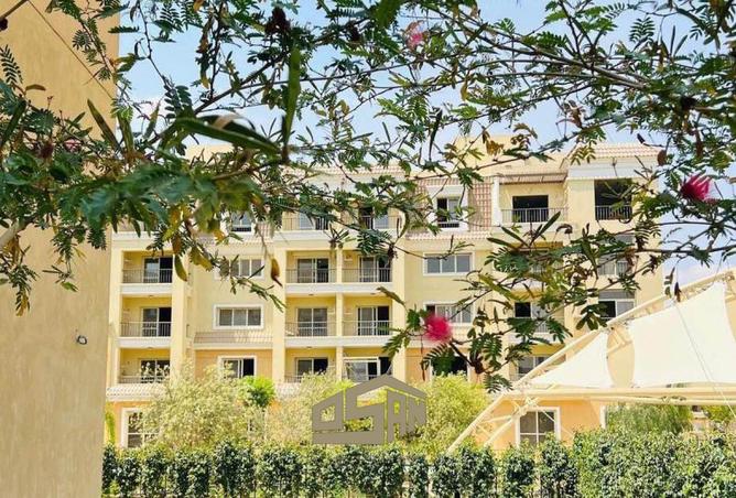 56000741 - صورة العقار 3