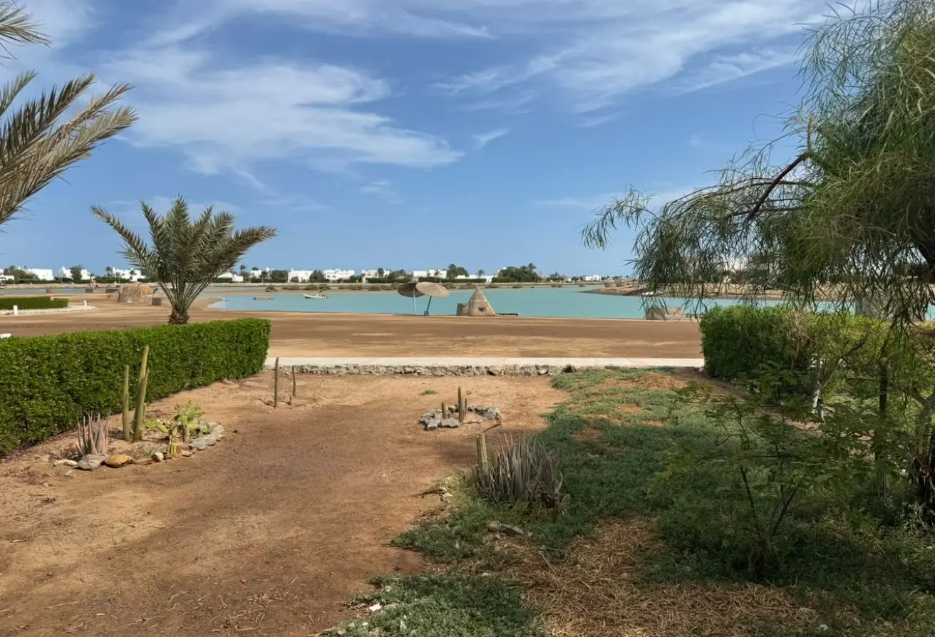 113815016 - الصورة الرئيسية للعقار