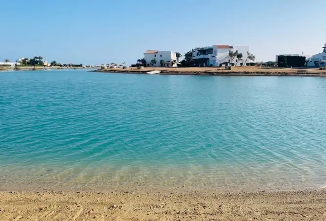 113815016 - صورة العقار 3