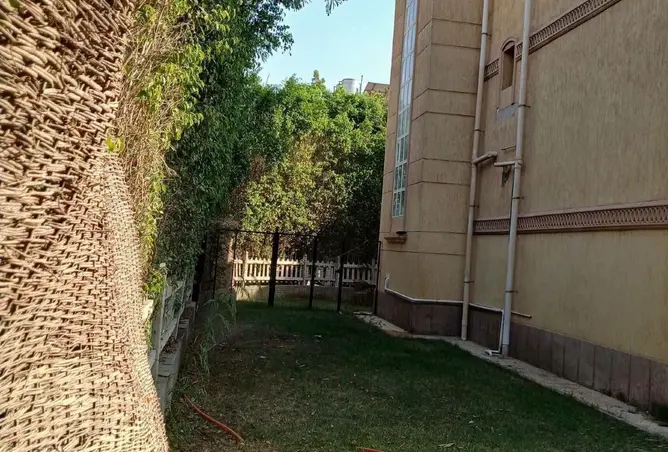 120885224 - Property Image 3
