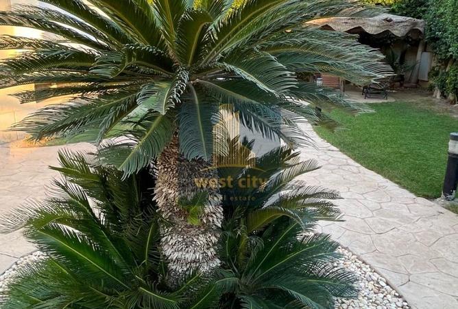 98390484 - صورة العقار 2