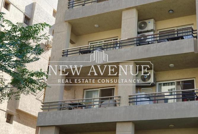 8588181 - Property Image 3