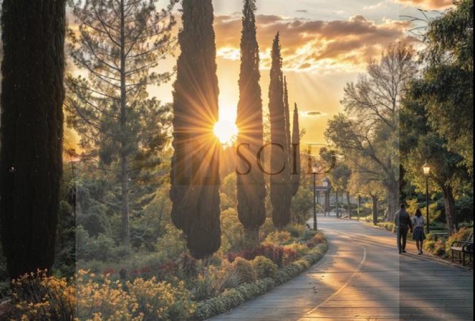 66704596 - Property Image 3