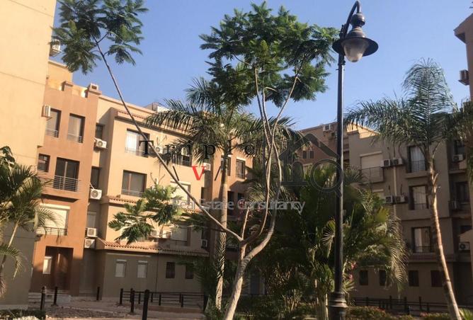 8596638 - صورة العقار 3