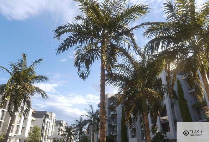 8508954 - Property Image 3