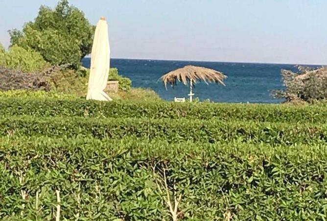 8689170 - Property Image 3