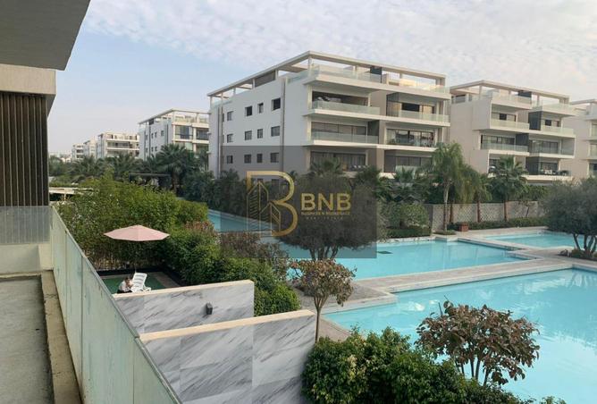 65155074 - Property Image 3