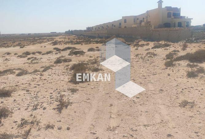 8530657 - صورة العقار 2