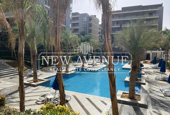 58987272 - Property Image 2