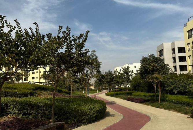 58248075 - الصورة الرئيسية للعقار