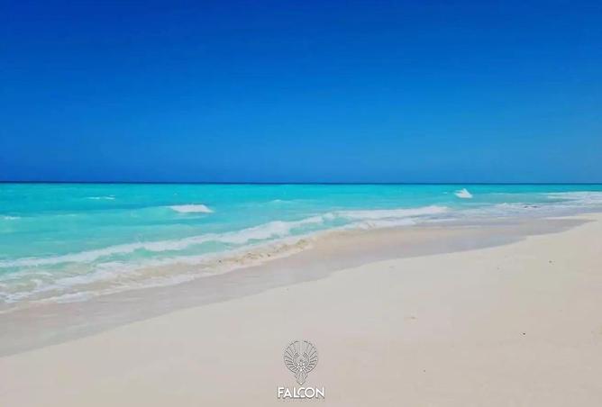 102065994 - صورة العقار 3