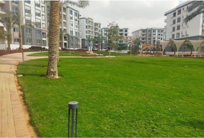 99803995 - Property Image 3