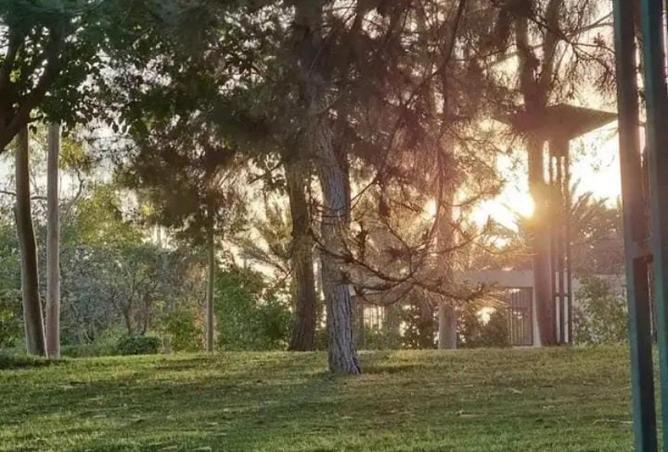 52458621 - صورة العقار 2