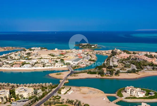 113541716 - صورة العقار 3