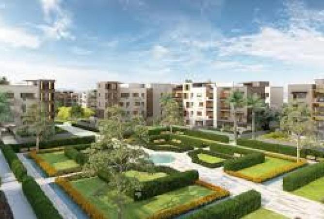 53477504 - الصورة الرئيسية للعقار