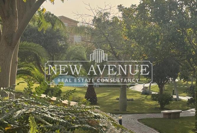 64645974 - صورة العقار 3