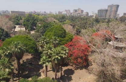 Apartment - 2 Bedrooms - 1 Bathroom for sale in Dokki - Giza
