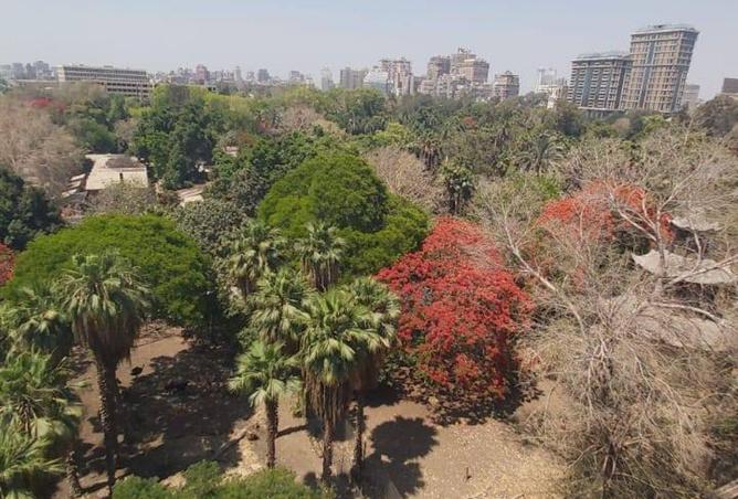 68799919 - صورة العقار 3