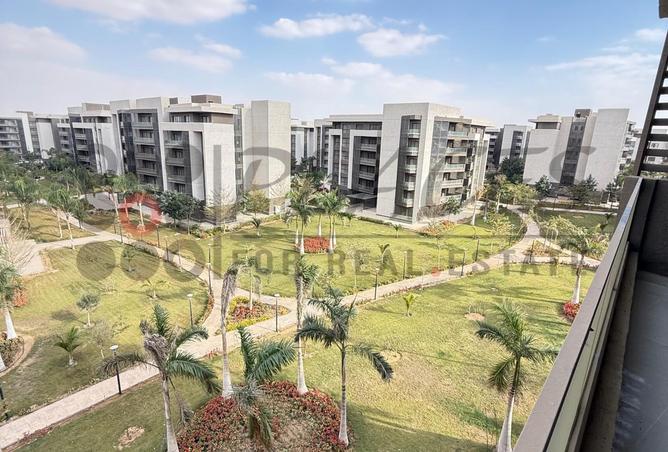 70362435 - صورة العقار 3