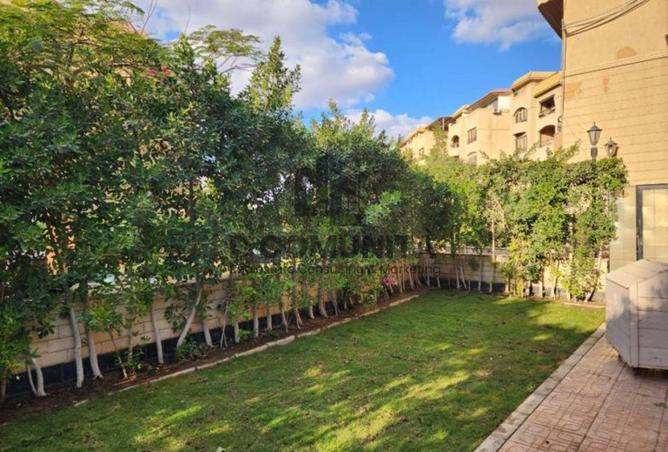 53731944 - صورة العقار 3