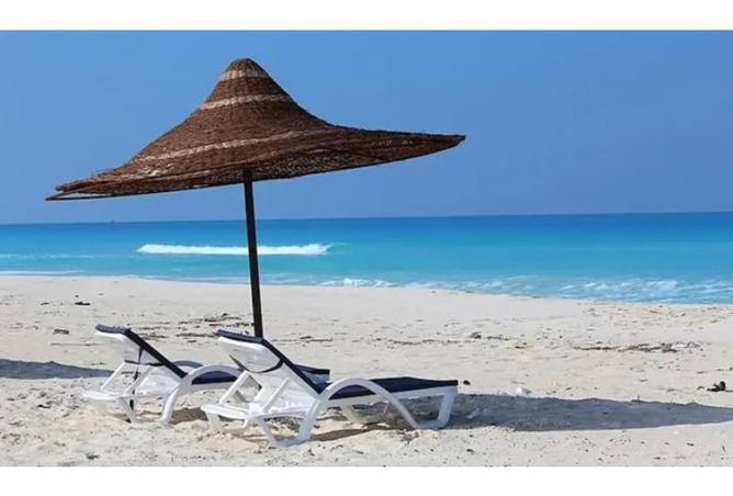 8464585 - صورة العقار 3