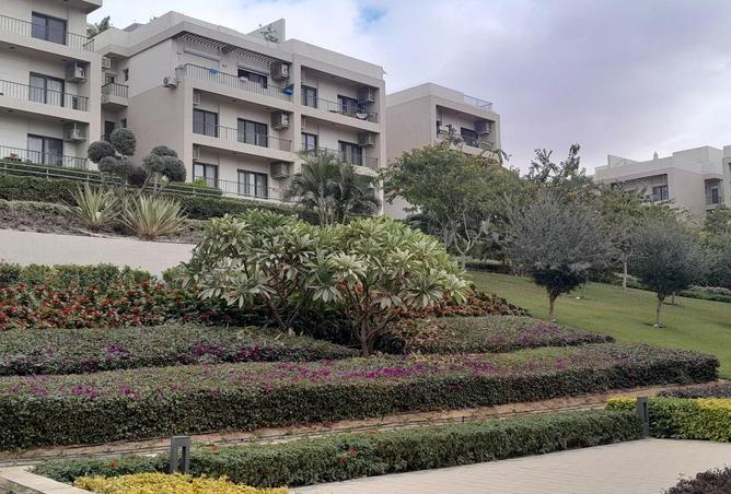 81305211 - الصورة الرئيسية للعقار