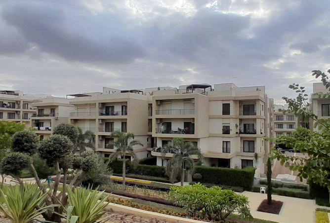 81305211 - صورة العقار 3