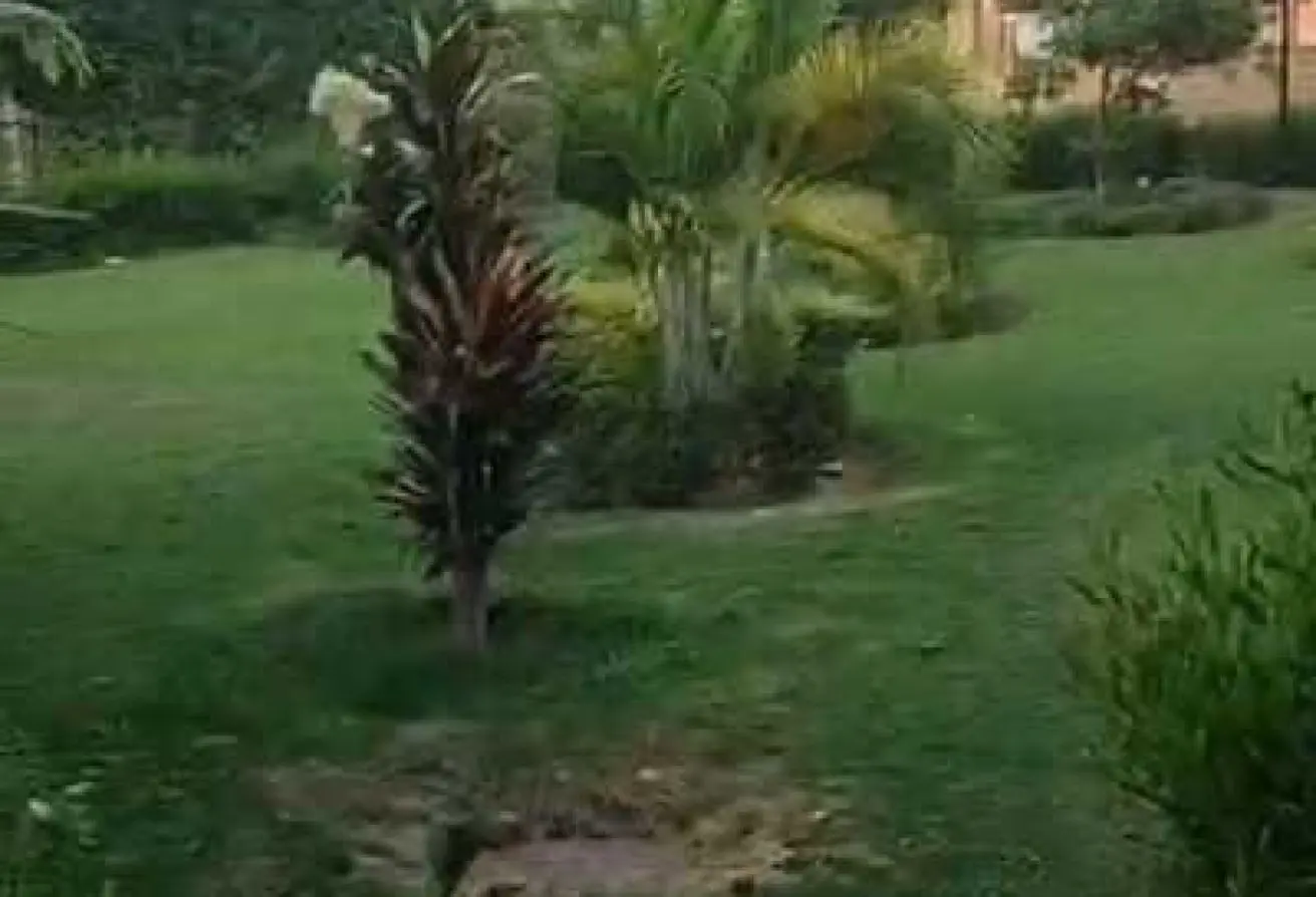 112969022 - الصورة الرئيسية للعقار