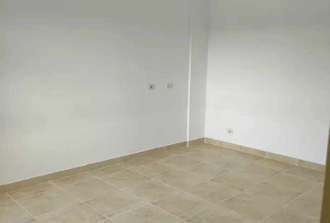117527561 - Property Image 2