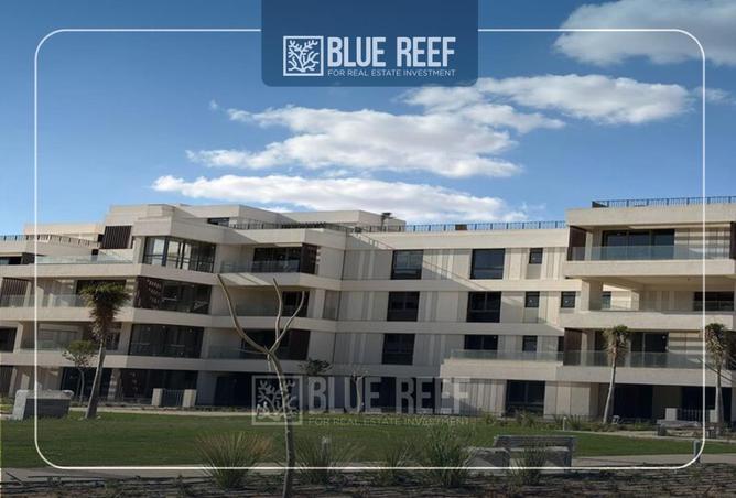 68006721 - Property Image 3