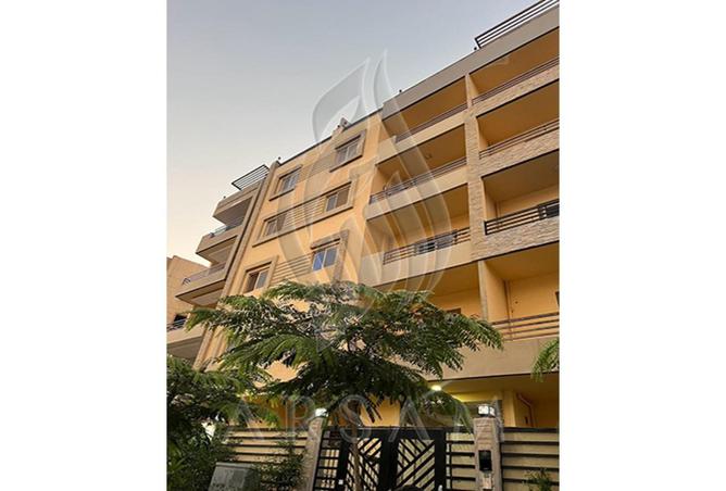 59241456 - صورة العقار 2