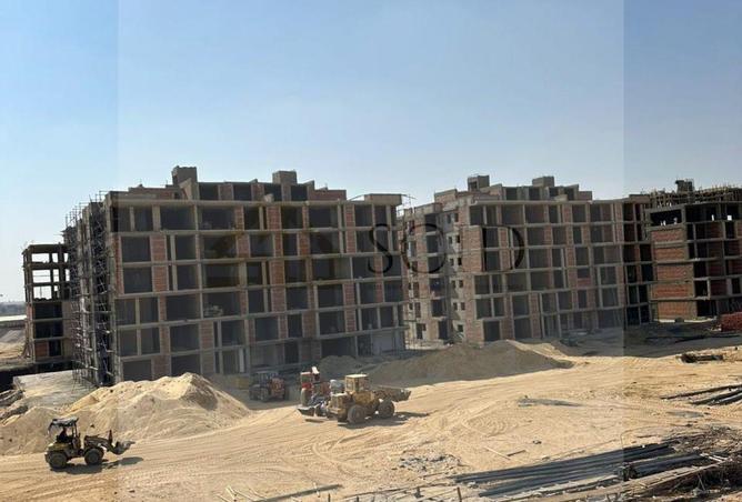 58003371 - صورة العقار 3