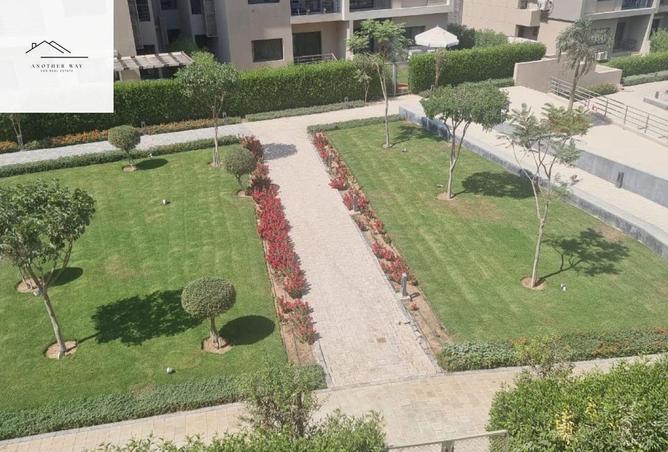 53219123 - Property Main Image