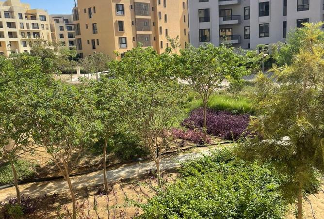 63382447 - Property Image 2