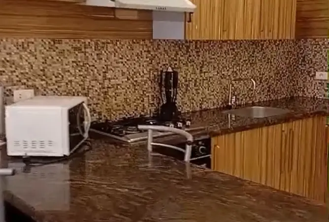 113521683 - صورة العقار 3