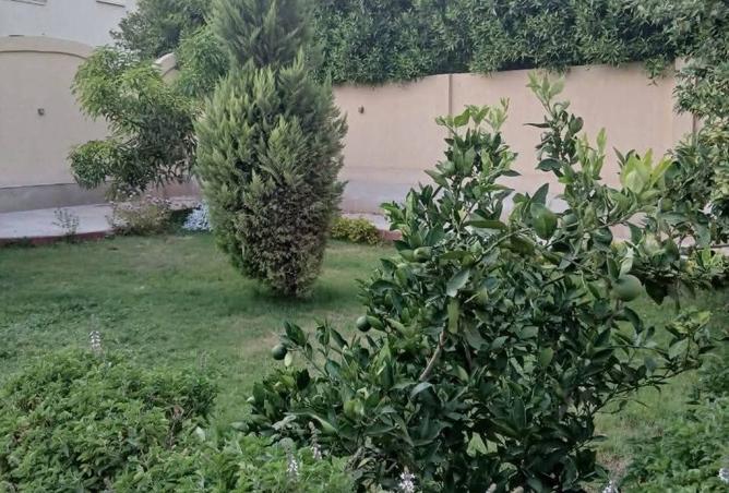 101500828 - صورة العقار 3