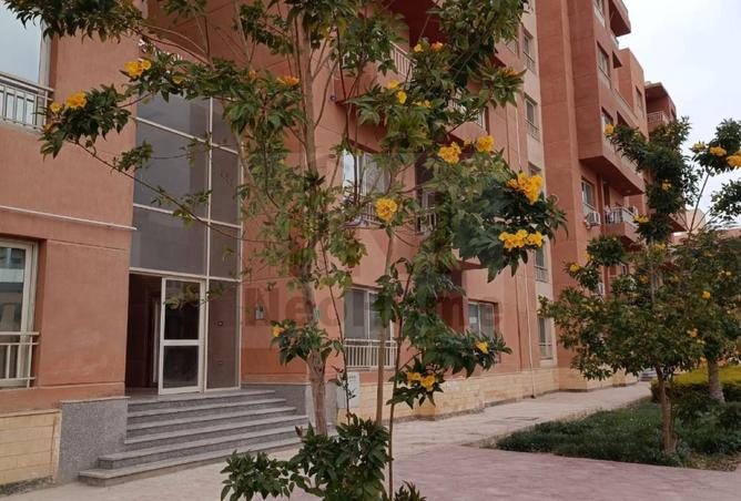 97717740 - الصورة الرئيسية للعقار