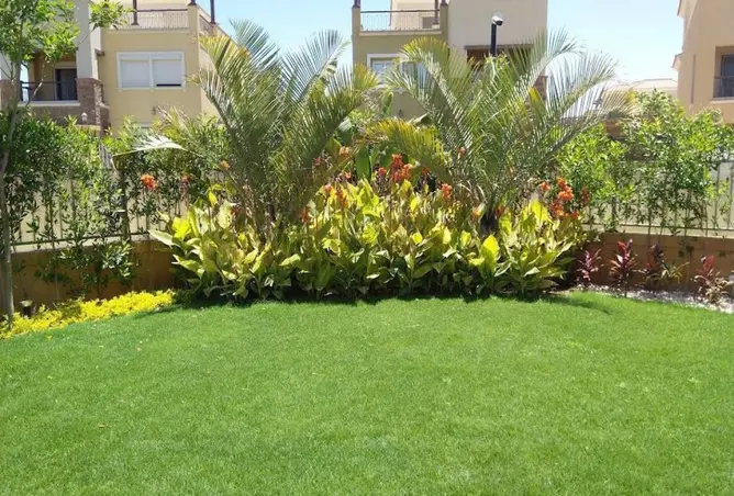 118795491 - صورة العقار 3