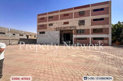 Factory - Studio - 1 Bathroom for rent in Badr Industrial Zone - Badr City - Cairo
