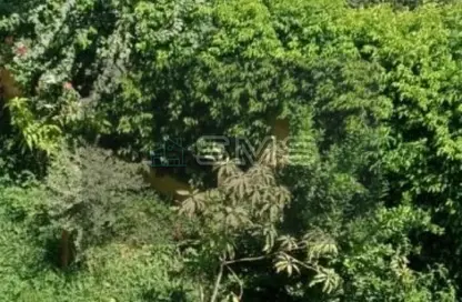 Apartment - 3 Bedrooms - 4 Bathrooms for rent in Doctor Yassin Abdel Ghaffar St. - Area C - Ganoob El Acadimia - New Cairo City - Cairo