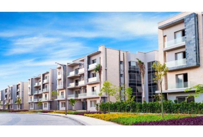 59486917 - Property Image 3