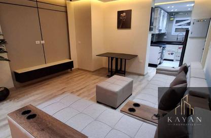 Apartment - Studio - 1 for rent in El Rehab Extension - Al Rehab - New Cairo City - Cairo Apartment - Studio - 1 for rent in El Rehab Extension - Al Rehab - New Cairo City - Cairo