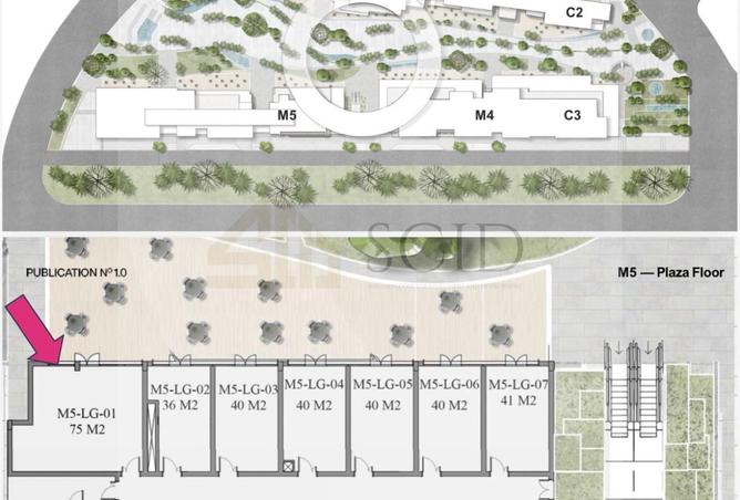 58981624 - Property Image 3