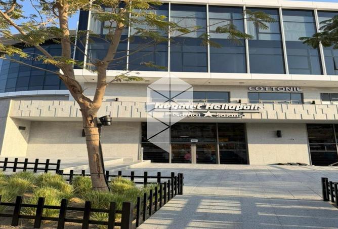 8593857 - Property Image 2